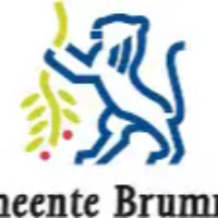 Gemeente Brummen logo